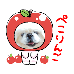 [LINEスタンプ] ペキまろの可愛い～挨拶