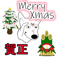[LINEスタンプ] 柴犬白柴ワンのクリスマスとお正月（賀正）の画像（メイン）