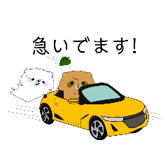 [LINEスタンプ] 白い犬＆たぬき