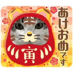 [LINEスタンプ] tocco/special⑦/猫/レオ・カイ♡