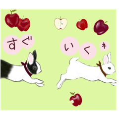 [LINEスタンプ] うさぎ ウサギ 兎 ねこ ネコ 猫