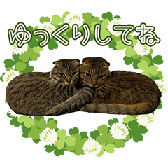 [LINEスタンプ] ミラちゃんと仲間たち