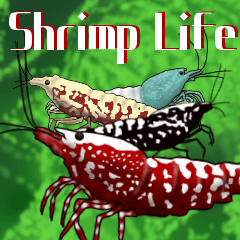 [LINEスタンプ] Shrimp Life*
