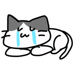 [LINEスタンプ] をたねこ