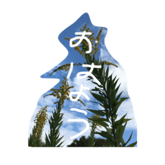 [LINEスタンプ] 植物DEあいさつ