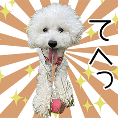 [LINEスタンプ] タンタンスノウィの大冒険