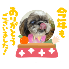 [LINEスタンプ] シーペキ新年ご挨拶