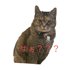 [LINEスタンプ] もなかちゃんとジジ君