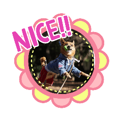 [LINEスタンプ] 雑種のむーぶ