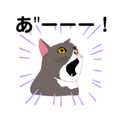 [LINEスタンプ] 友達んちの猫