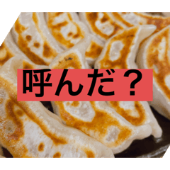 [LINEスタンプ] 餃子が食べたくなる