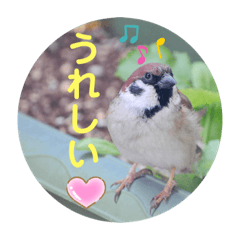 [LINEスタンプ] スズメのちゅんペイ