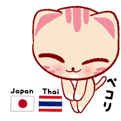 [LINEスタンプ] 猫ちゃん 日本・タイのコミュニケーション