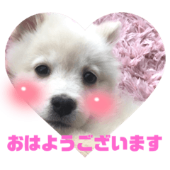 [LINEスタンプ] ♡みるくスタンプ♡