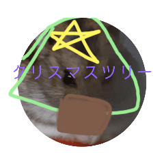 [LINEスタンプ] すみいとまめとらむねのクリスマス