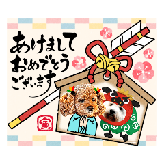 [LINEスタンプ] 寅年★あけおめ2022の画像（メイン）