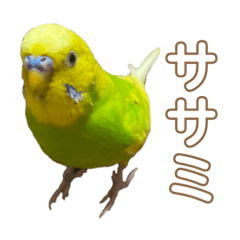 [LINEスタンプ] ササミクンッ