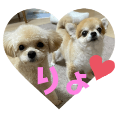 [LINEスタンプ] taro ＆ ran