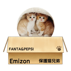 [LINEスタンプ] ファン太＆ペプ志保護猫兄弟の大冒険