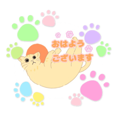 [LINEスタンプ] 我が家と周りの猫たちの日常会話