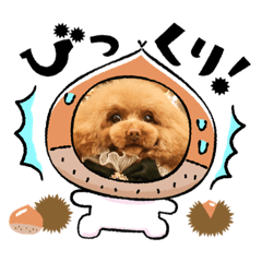 [LINEスタンプ] キャリーシェリーPart3