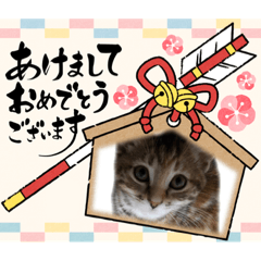 [LINEスタンプ] クルミさんと挨拶