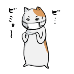 [LINEスタンプ] マスクねこ『ワクチン＆体調不良』