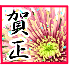 [LINEスタンプ] 新年の挨拶に花を！！Part2の画像（メイン）