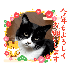 [LINEスタンプ] 2021〜2022 使えるスタンプ