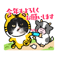 [LINEスタンプ] うちのにゃんこちぃ