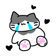 [LINEスタンプ] をたねこ に