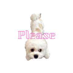 [LINEスタンプ] べべべるスタンプ