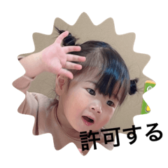 [LINEスタンプ] みーさんだらけ