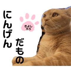 [LINEスタンプ] きよしろう坊ちゃん2（たまにクッキー）