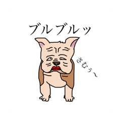 [LINEスタンプ] DOGS＆CATS FRIENDS