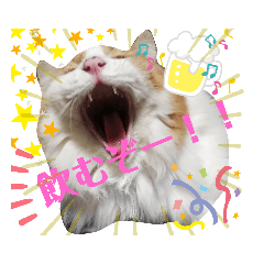 [LINEスタンプ] 家の猫ズ@ クリスマス パーティー