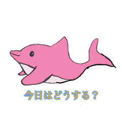 [LINEスタンプ] 可愛いイルカ♡