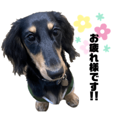 [LINEスタンプ] 虎丸①