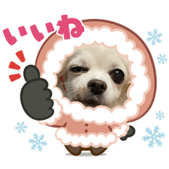 [LINEスタンプ] ゆめの毎日スタンプ5