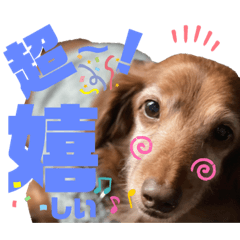 [LINEスタンプ] らぶぞぅo