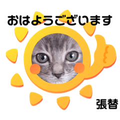 [LINEスタンプ] はり猫1