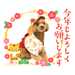 [LINEスタンプ] プードルのお正月