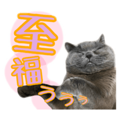 [LINEスタンプ] うちのデブリティシュ