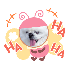 [LINEスタンプ] ペキまろ挨拶2
