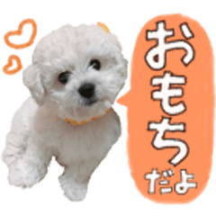 [LINEスタンプ] ペキビションのおもち