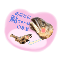 [LINEスタンプ] 行け！鮎の塩焼き！3
