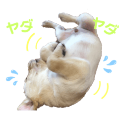 [LINEスタンプ] ティアっ子11