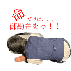 [LINEスタンプ] アイリのお願いします