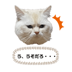 [LINEスタンプ] ねこ の ちくわ 3