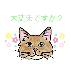 [LINEスタンプ] あんずママのうちの子似顔絵スタンプ⑥